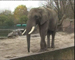 Tierparkgespräch im Elefantenhaus
